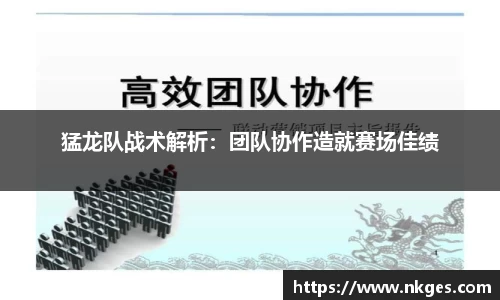 猛龙队战术解析：团队协作造就赛场佳绩