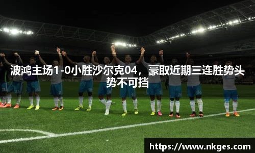 波鸿主场1-0小胜沙尔克04，豪取近期三连胜势头势不可挡
